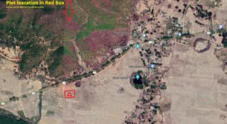 My Property