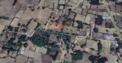 Land for house Land for house