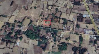 Land for house